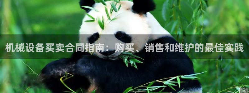 九游会ag官方网站