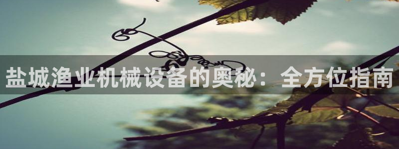 九游会提款快吗