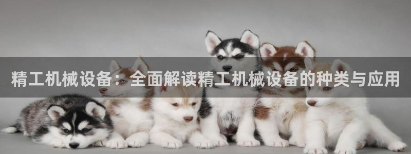 九游会ag亚洲