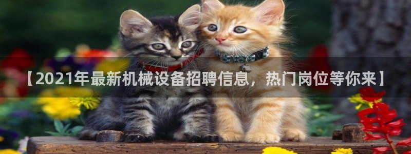 九游会j9官方网站