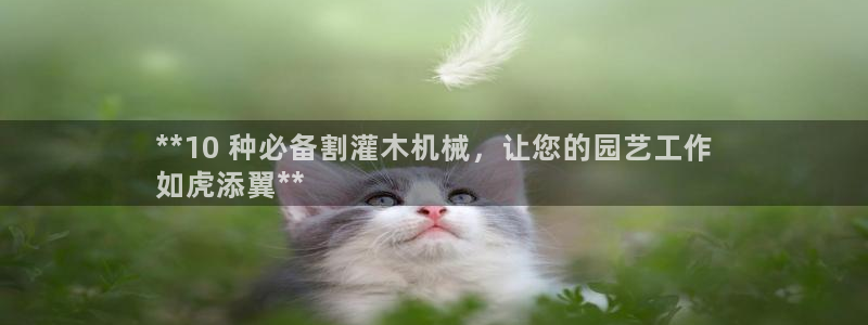 ag九游网