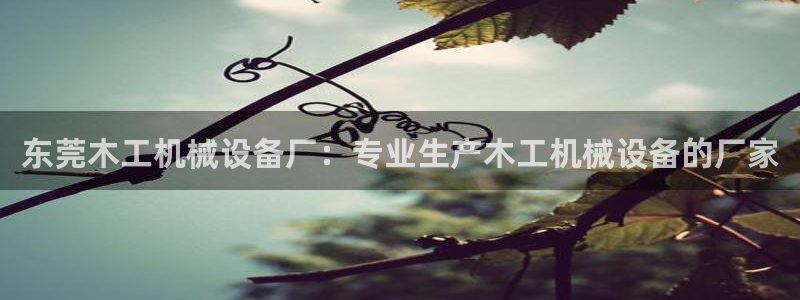 J9九游会网站