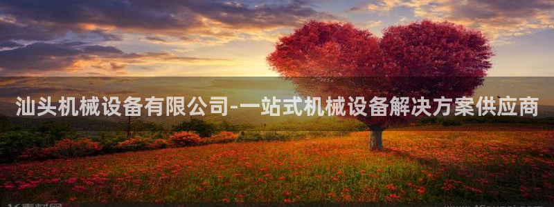 J9九游会国际站