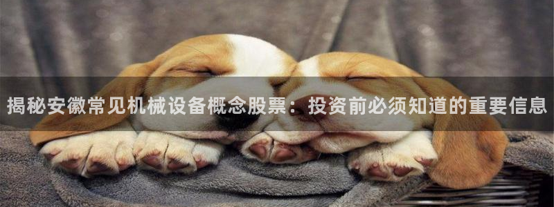 九游会可靠吗