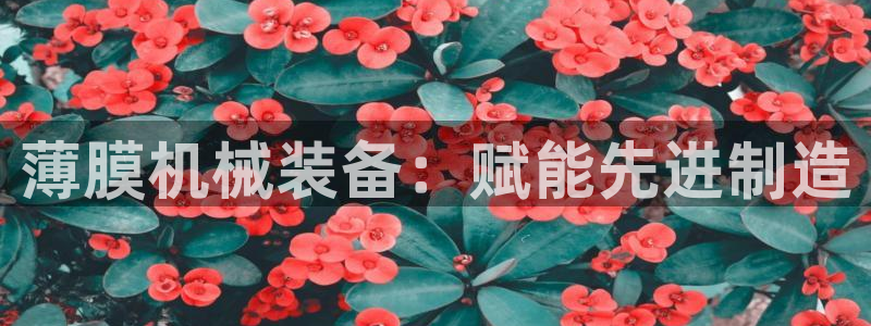 九游会中国入口嘛