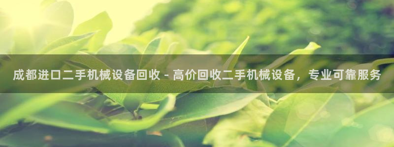 九游会agj9