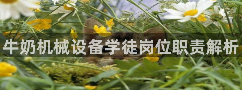 9游会官网首页