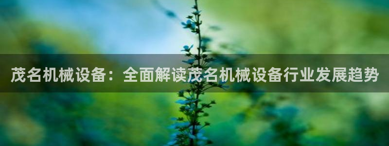 九游会登不上
