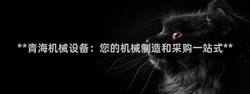 j9九游会永久域名