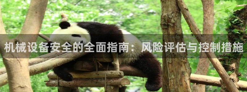 j9九游会网址
