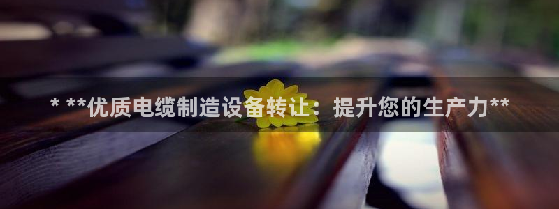 九游会视讯