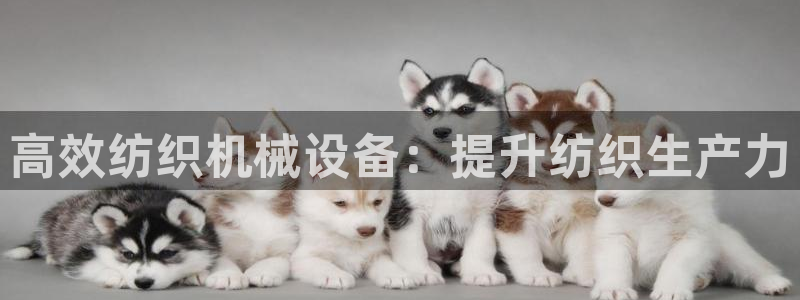 九游会游戏平台有哪些
