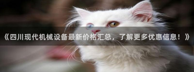 j9九游会官方网站国际