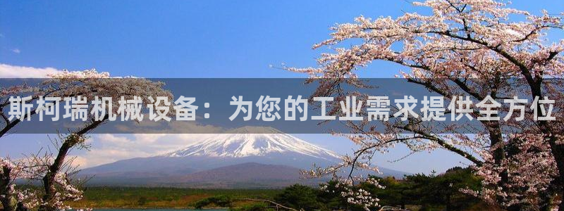 J9九游会登陆旧版