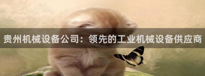 九游会官网真人认证吗知乎