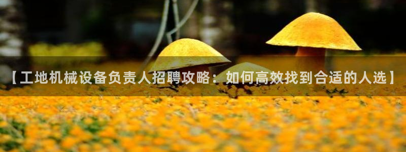 九游会j9全站平台