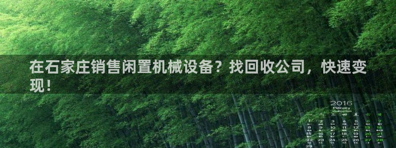 九游会网址是什么