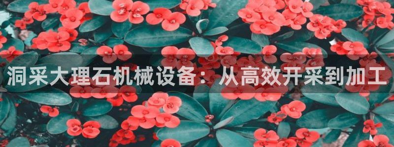 J9九游会登陆