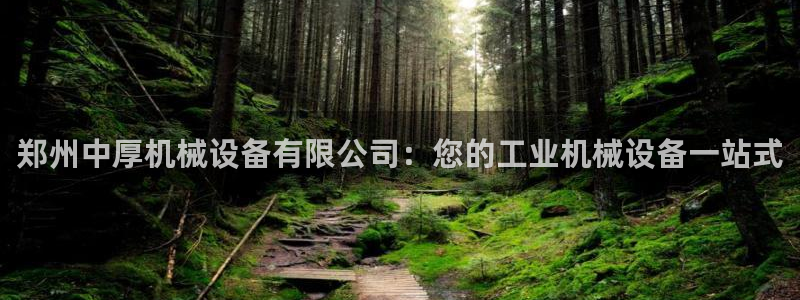 九游会直营
