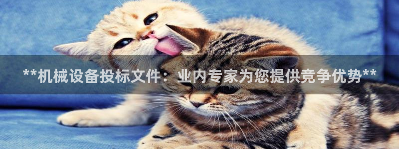 j9p下载