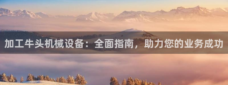 j9九游会vip