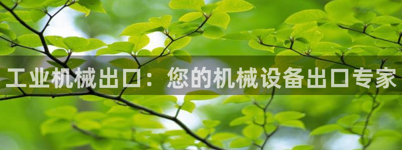 九游会ag登陆