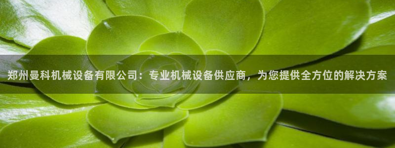 J9九游会俱乐部