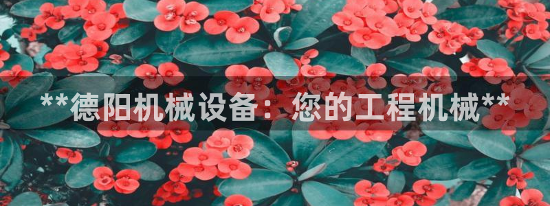 九游会agj9