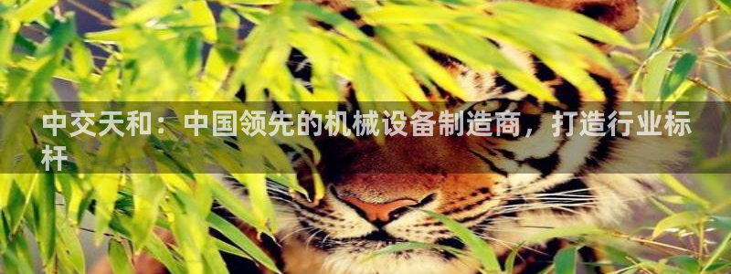 J9九游会官网app