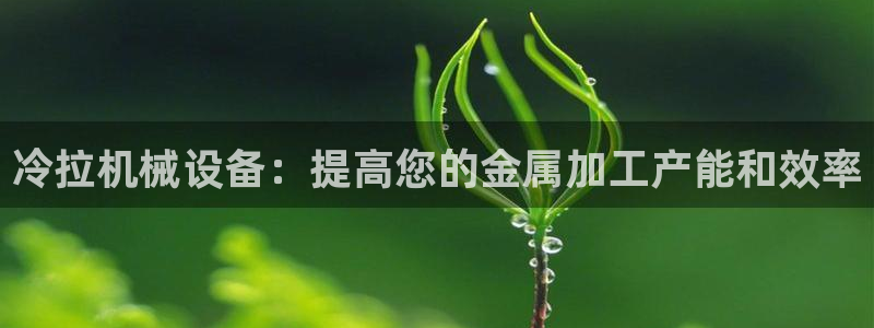 九游会手机登陆