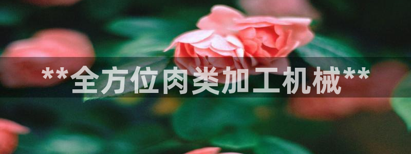 ag九游老哥俱乐部