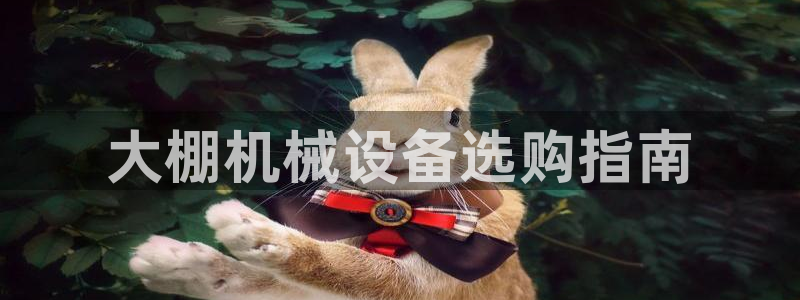 九游会登陆地址